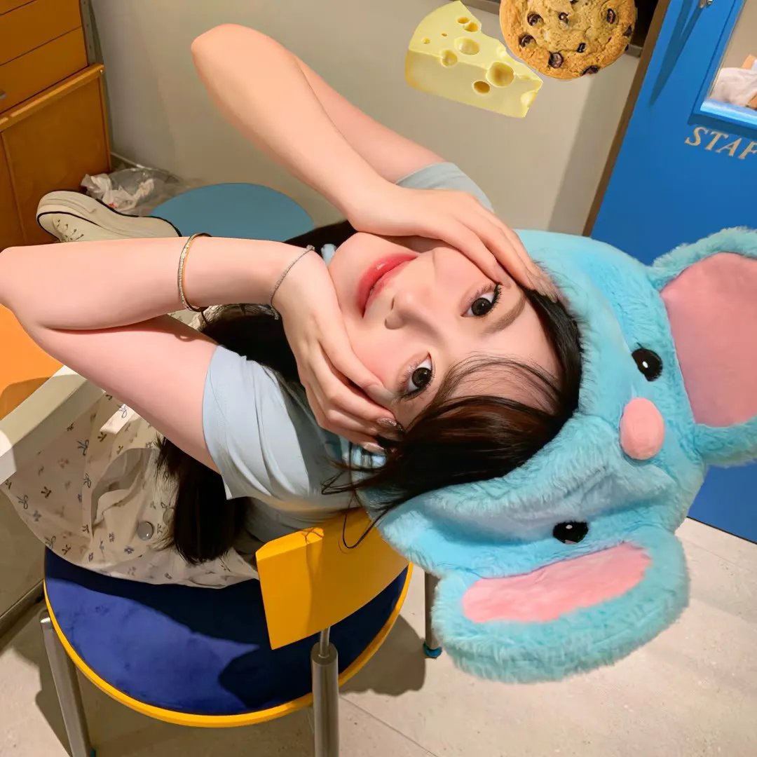 爱猫人