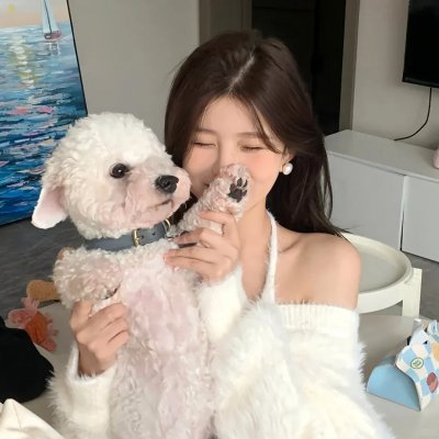 碎片之家